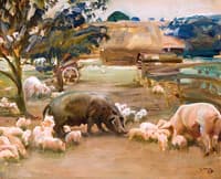 Pigs at Great Thurlow, Suffolk