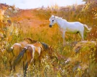 Ponies in a Sandpit, Ringland Hills, Norfolk