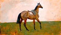 Riderless Horse