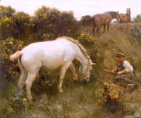 'Shrimp' and 'Augereau' in Ringland Hills