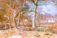 Study for 'Edge of the Wood'