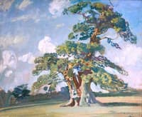 The Old Oak, Mistley Park