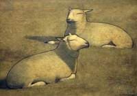 Study of Two Sheep