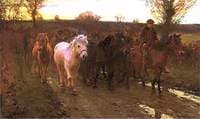 Travellers