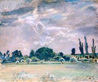 Trees by a Field