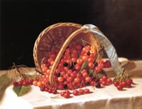 Basket of Cherries