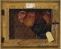 Rooster in Transit
