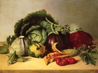 Still Life: Balsam Apples and Vegetables