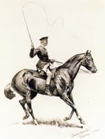 A 'Trakehner' Horse Wrangler