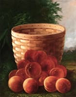 Peaches by a Basket