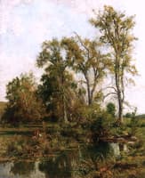 The Meadow Brook