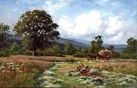 Hay Meadow