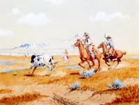 Herding Longhorn