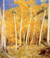 Aspens