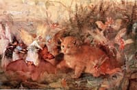 Cat among the Fairies