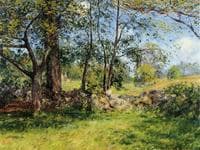 Summer Landscape