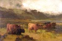 On Tarras Moss