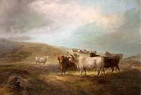On the Way to Lowland Pastures