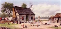 Cabin Scene