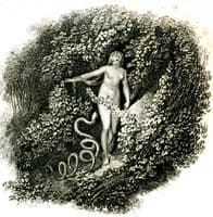 Eve is tempted by the serpent