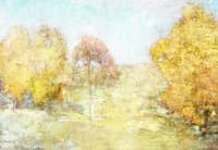Autumn Morning - Fading Moon