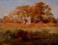 Autumn Trees