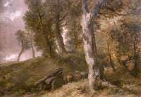 Study of Trees