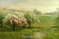 Blossoming Trees