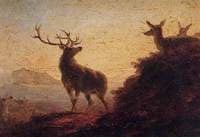 Sketch of Deer, Evening