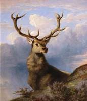 The Monarch of the Glen