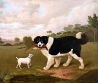 Two Dogs, Called ‘Blumer’ and ‘Venom’