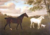 Two Hunters and a Terrier