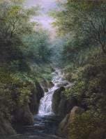 Waterfall, near Ludlow, Shropshire