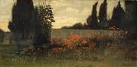 Cypress and Poppies