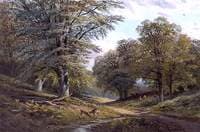 Forest Scene with Deer