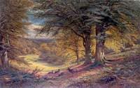 Under the Beeches