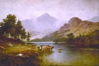 Highland Cattle in a River Landscape