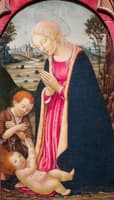 Madonna and Saint John the Baptist Adoring the Child