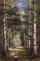 Birch Grove