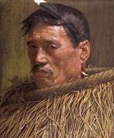 Suspicion: A Maori Chief