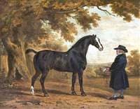 A Stallion with Its Groom