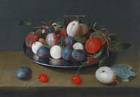 Still Life of Plums on a Plate
