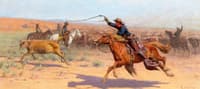 The Roundup