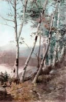 White Birches