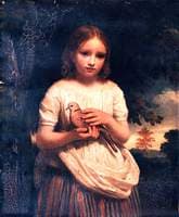 The Pet Dove