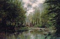 Forest in Veules, Normandy