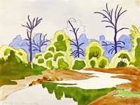 Sunlit Willows