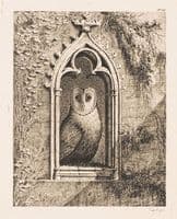 A Barn Owl in a Gothic Window