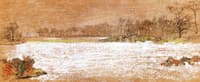 Winter Landscape