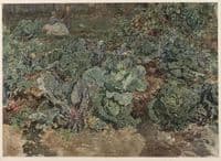 Gemüsegarten mit Kraut und Kohl
